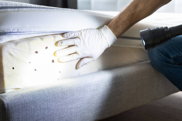 Best Exterminator Services  in Trinity, TX