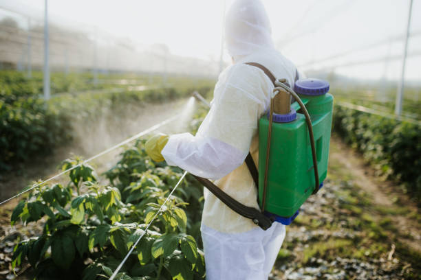 Best Wildlife Control Services  in Trinity, TX